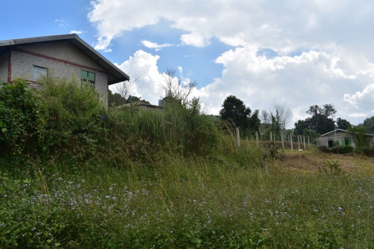 DSC_0188 (FILEminimizer)