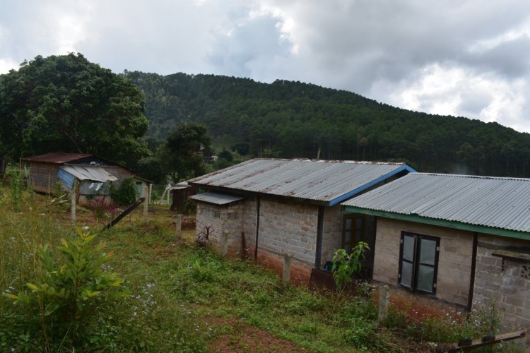 DSC_0189 (FILEminimizer)