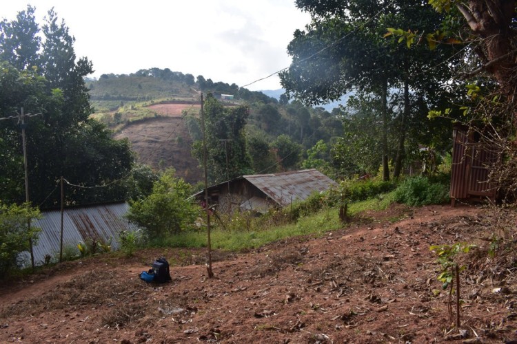 DSC_0001 (FILEminimizer)