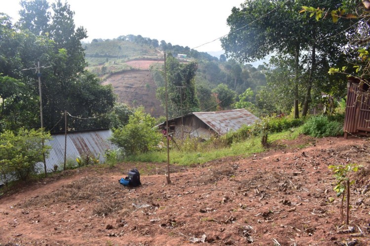 DSC_0002 (FILEminimizer)