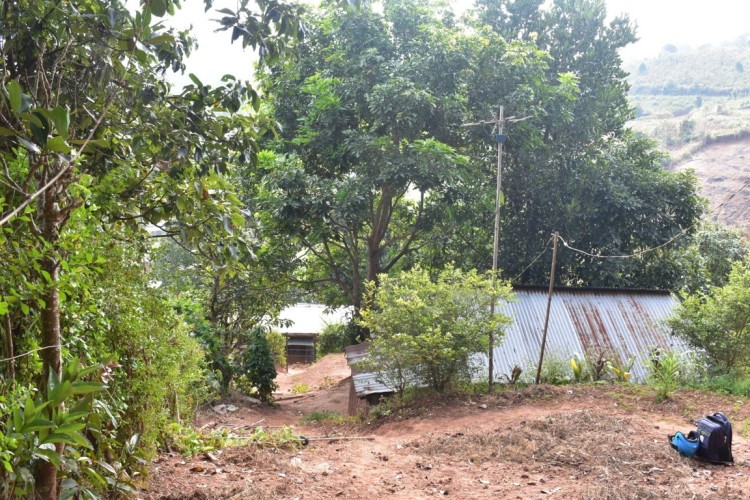 DSC_0004 (FILEminimizer)