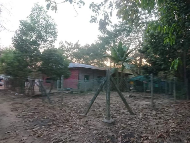 FB_IMG_1653016104648