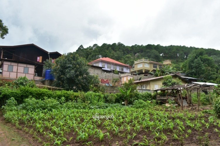 photo_2022-06-08_09-21-12