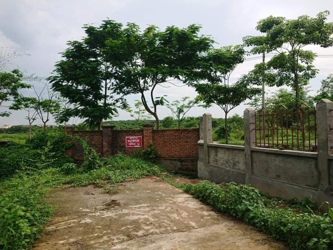 FB_IMG_1655083851782