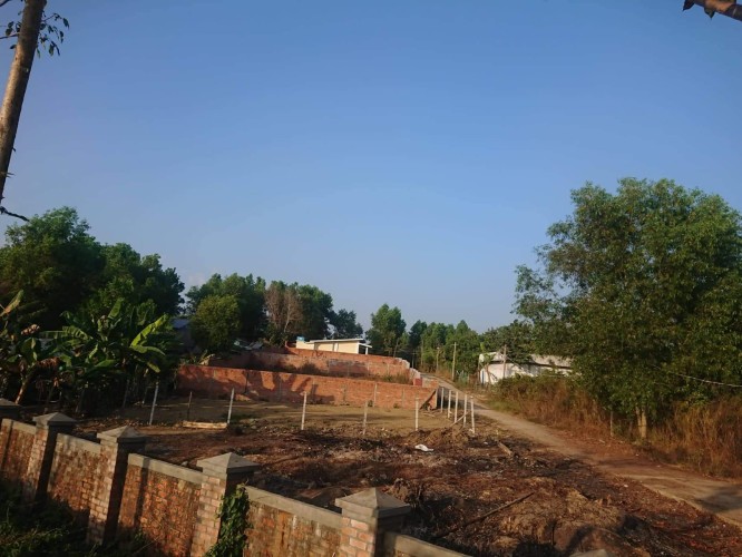 received_312598451086410