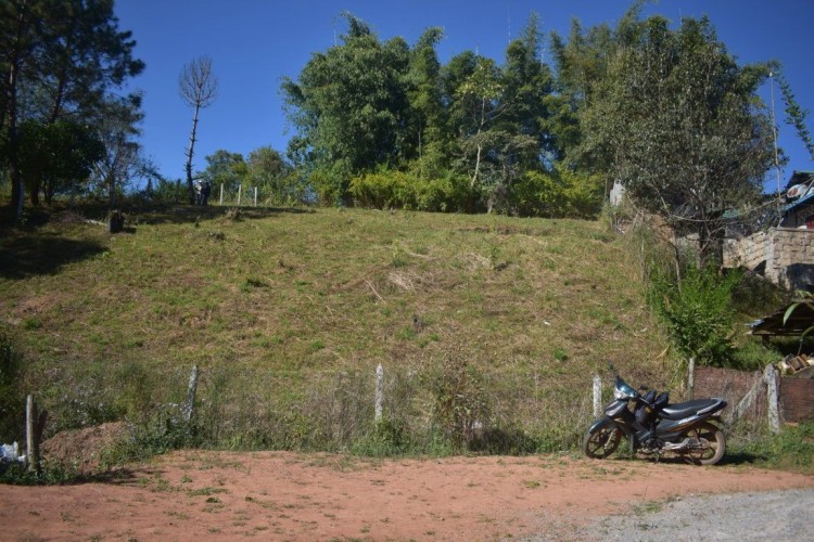 viber_image_2022-06-21_11-31-36-157