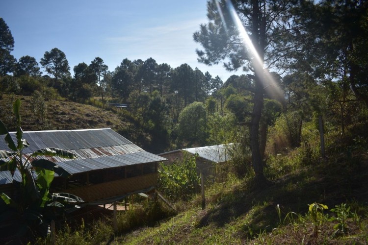 viber_image_2022-06-21_11-31-43-614