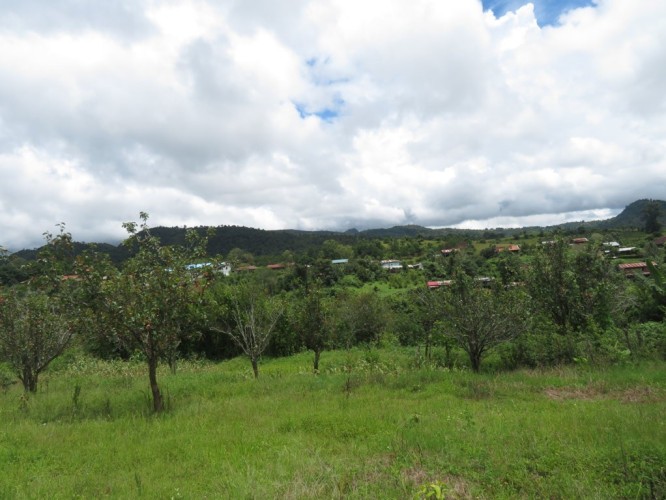 IMG_4576 (FILEminimizer)