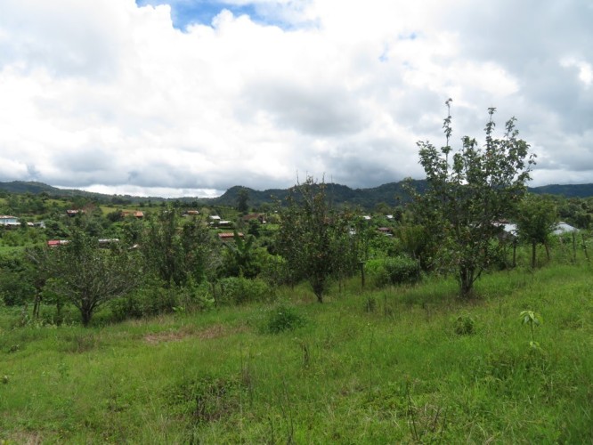 IMG_4577 (FILEminimizer)