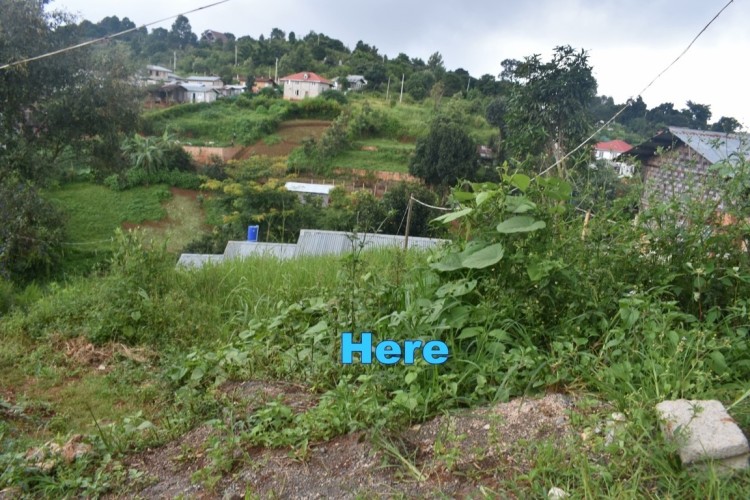 DSC_0047-min (FILEminimizer)