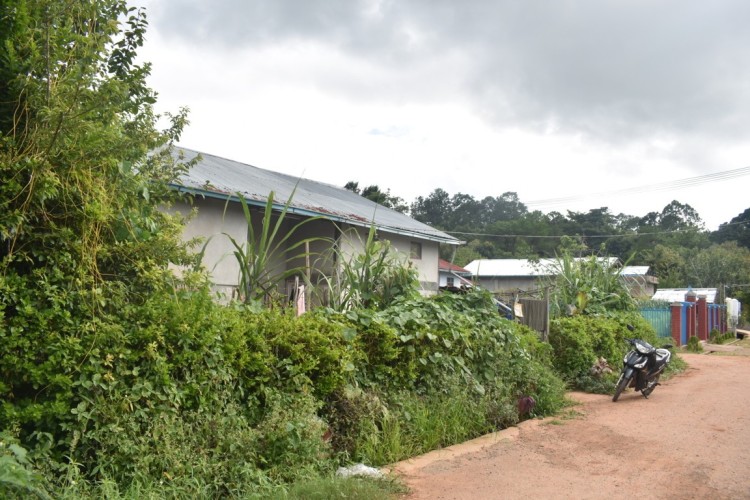 DSC_0473 (FILEminimizer)