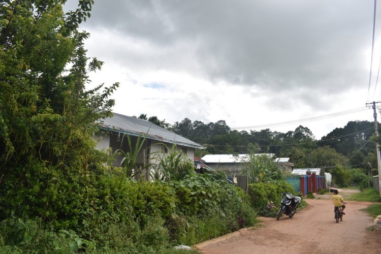 DSC_0474 (FILEminimizer)