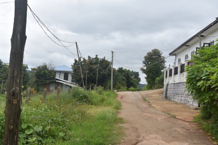 DSC_0506 (FILEminimizer)