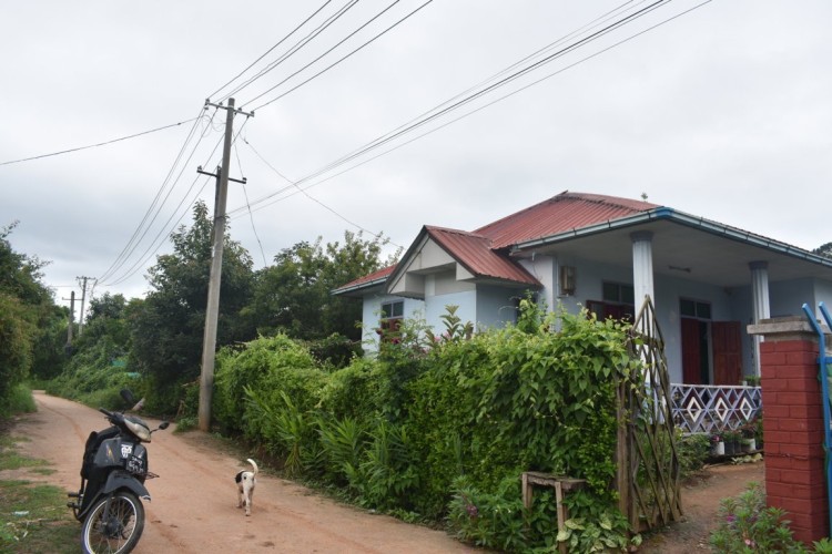 DSC_0575 (FILEminimizer)