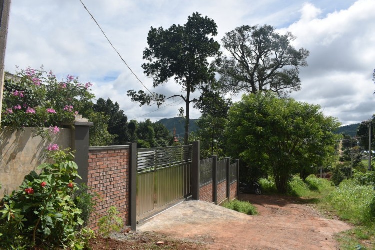 DSC_0107 (FILEminimizer)