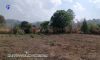 Kalaw Housing Market