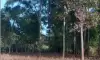 land-sale-wahnetchaung