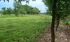land5