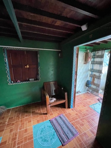 photo_2024-12-24_11-49-12