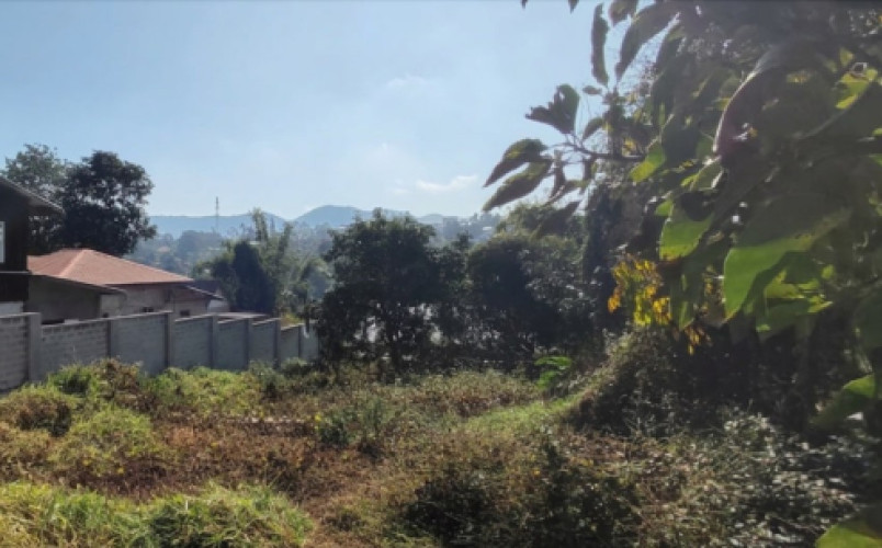 kalaw